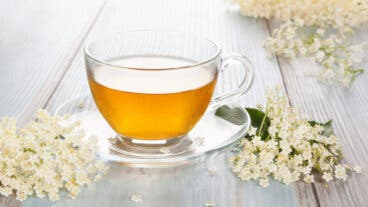 Descubre las propiedades de la flor de saúco y cómo puedes tomarla