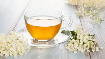 Descubre las propiedades de la flor de saúco y cómo puedes tomarla