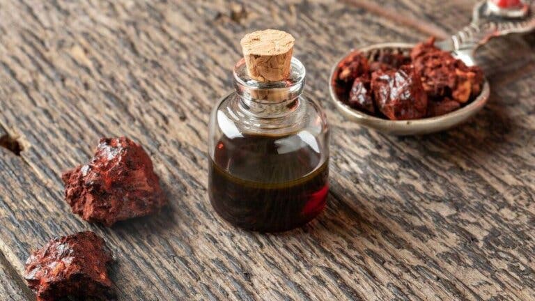 Sangre de drago: beneficios y contraindicaciones