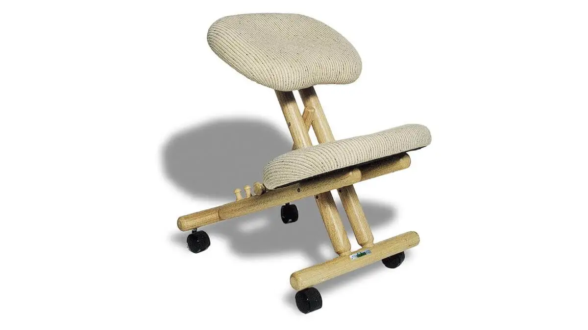 Silla Cinus.