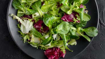 13 verduras de hoja verde para preparar ensaladas saludables