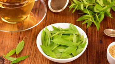 Hierbaluisa o cedrón: conoce sus propiedades y contraindicaciones