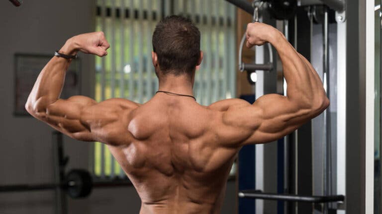 Los 15 mejores ejercicios para lucir trapecios definidos en el gimnasio