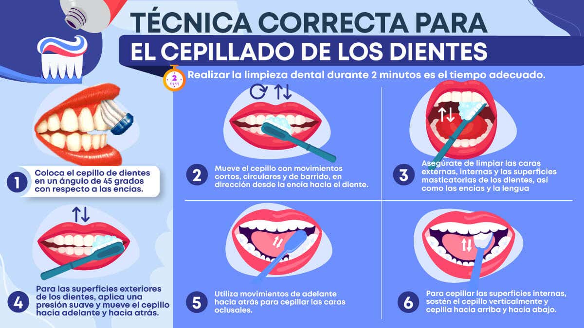 Infografía sobre la técnica correcta del cepillado de los dientes 