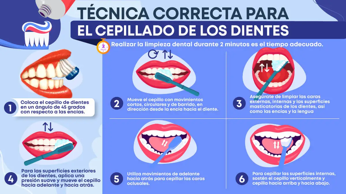 Infografía sobre la técnica correcta del cepillado de los dientes