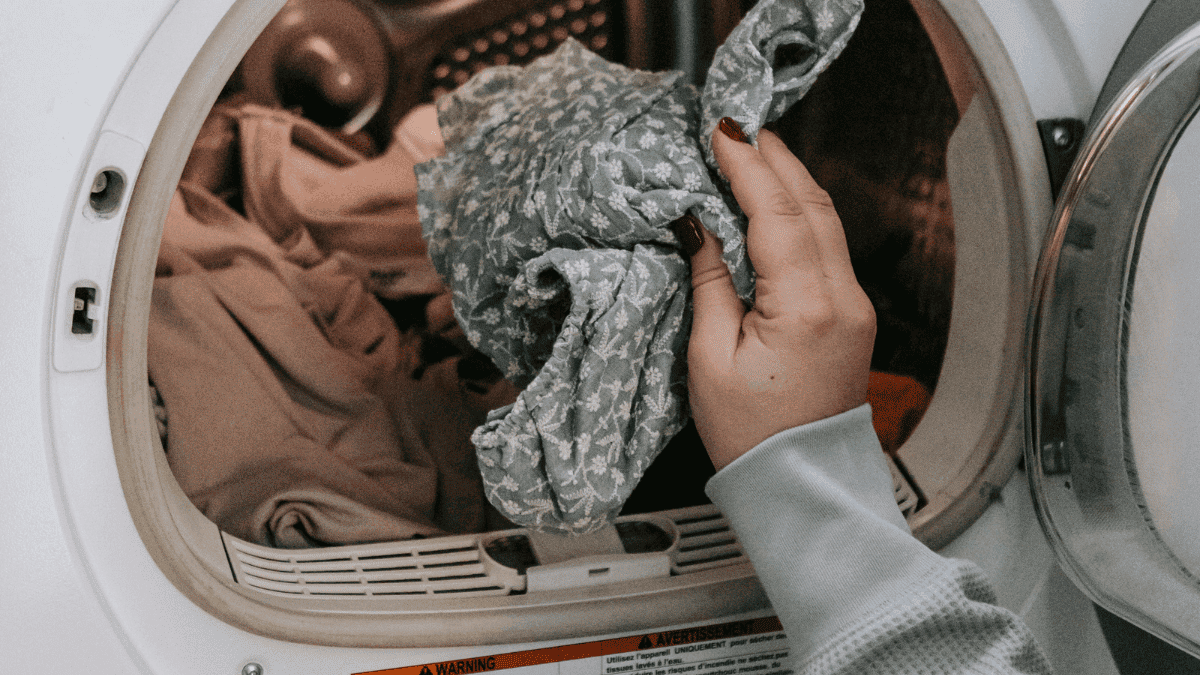 œufs de punaises de lit sur les vêtements