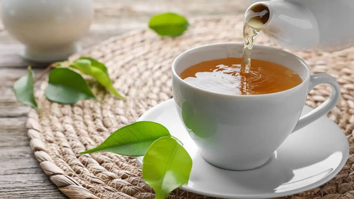 Té verde