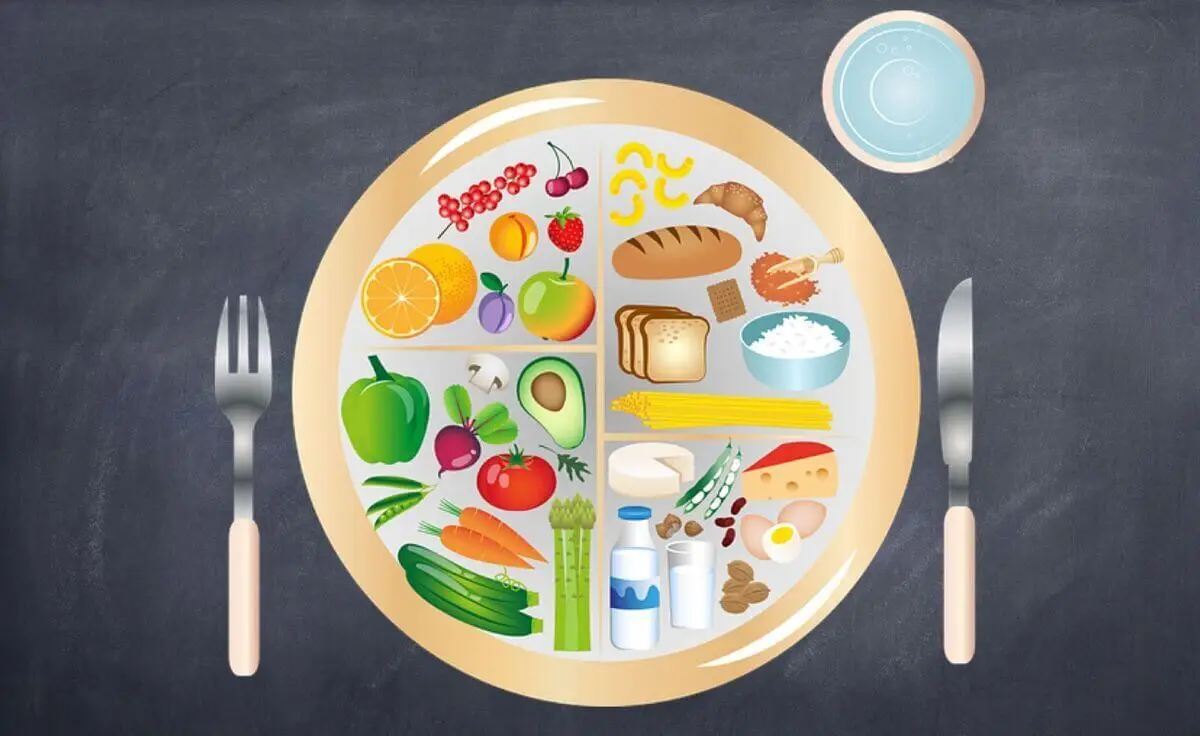 Plato de Harvard para prevenir la diabetes.