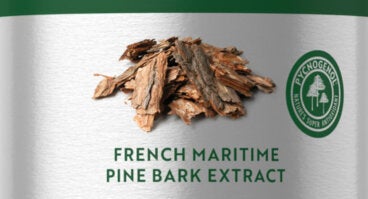 ¿Qué es el Pycnogenol® y cuáles son sus propiedades?