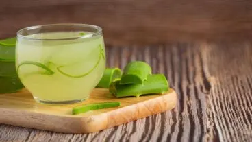 Té de sábila o Aloe vera: beneficios, para qué sirve y cómo prepararlo