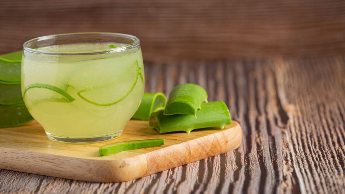 T de sbila o Aloe vera: beneficios y cmo prepararlo - Mejor con Salud