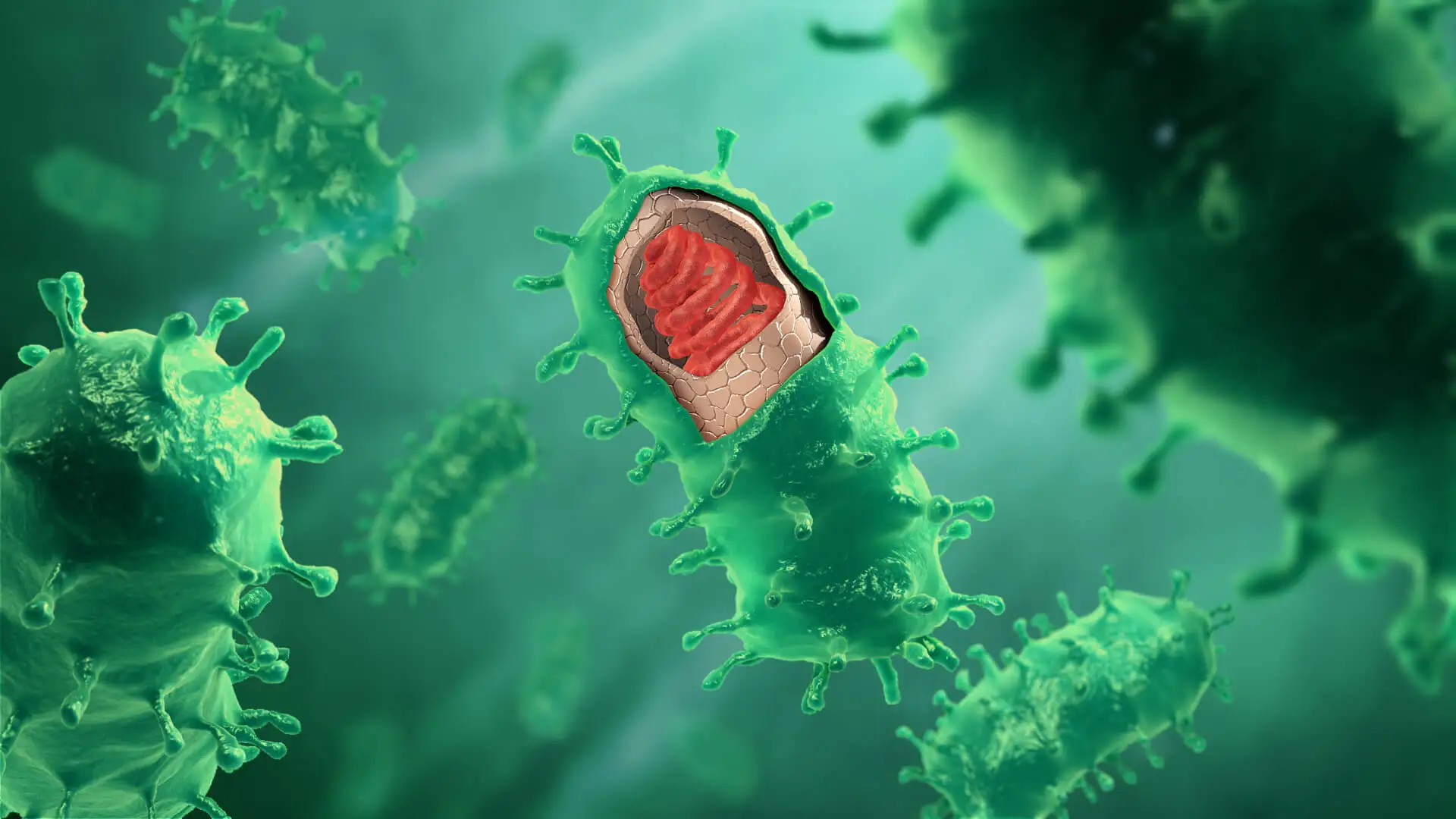 Virus de la rabia.