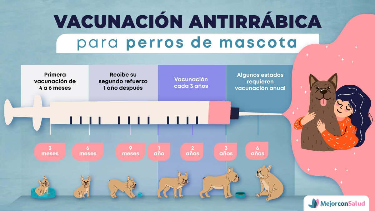 Vacuna antirrábica para mascotas.