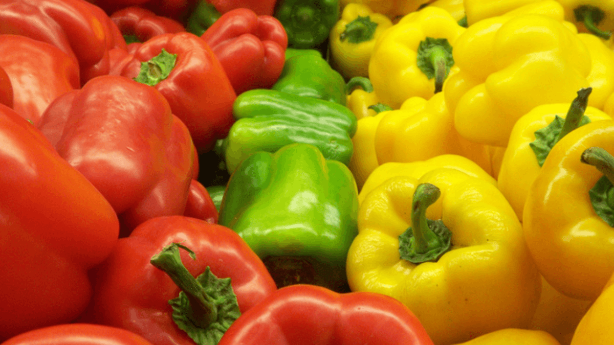 Pimientos rojos, verdes y amarillos