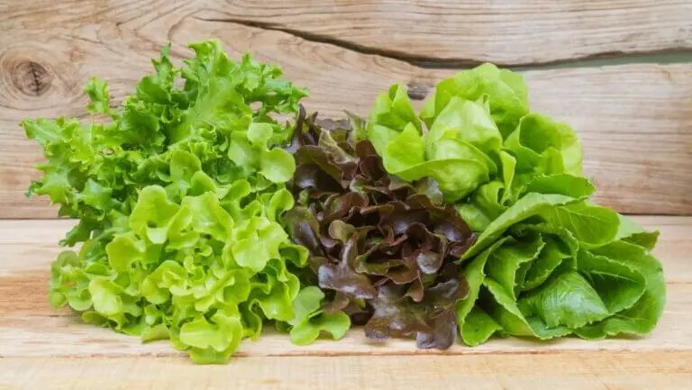 11 beneficios y propiedades de la lechuga para la salud