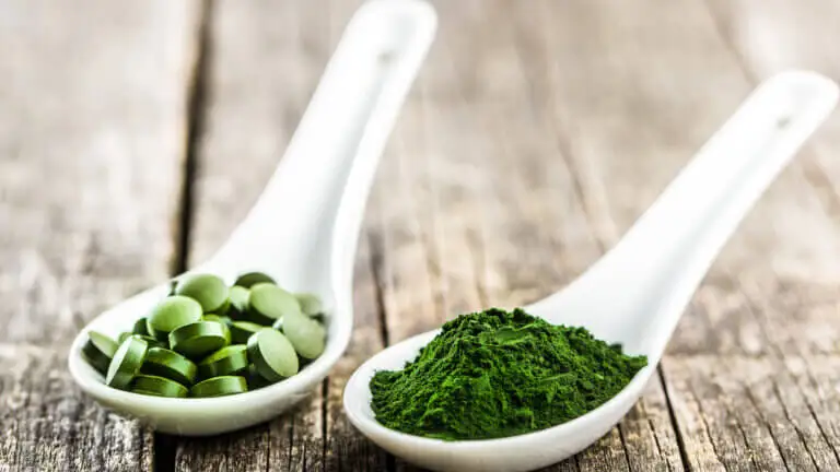 «Chlorella»: nutrientes, propiedades y contraindicaciones