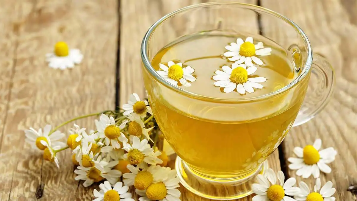 Infusión de manzanilla en un vaso junto a flores.
