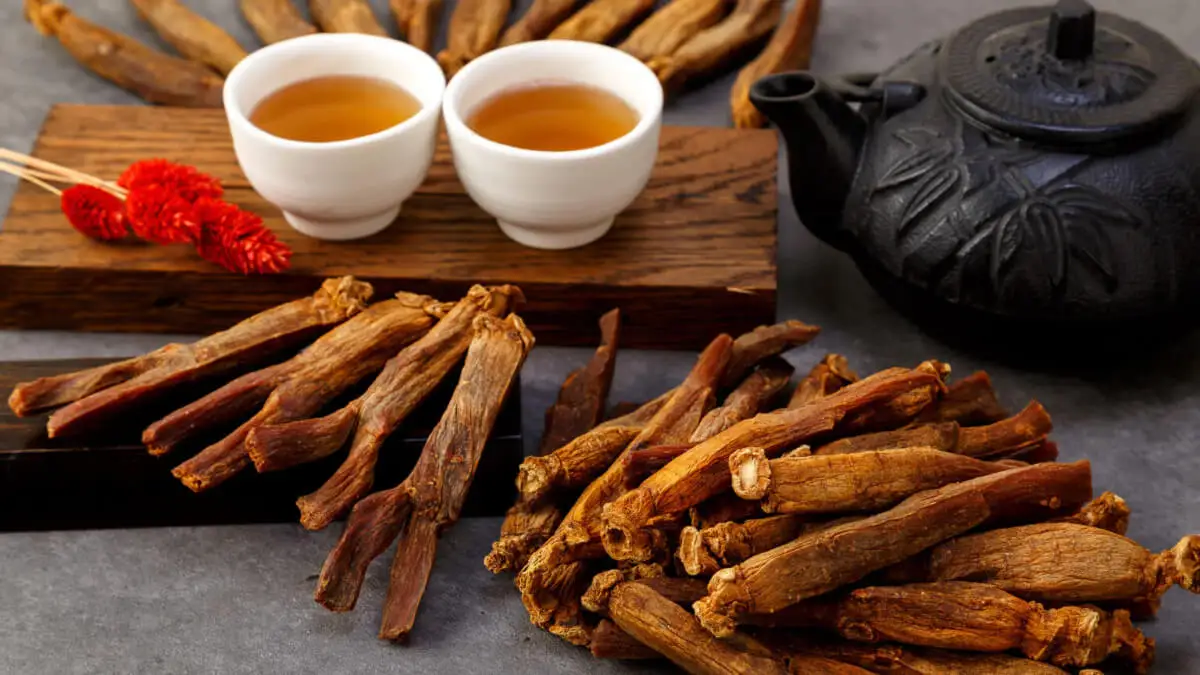 Infusión de ginseng rojo en dos tazas, junto a ramas.
