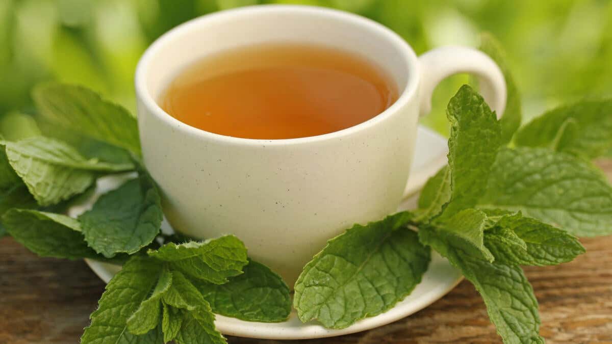 Taza que contiene té de menta piperita, rodeada de hojas de planta
