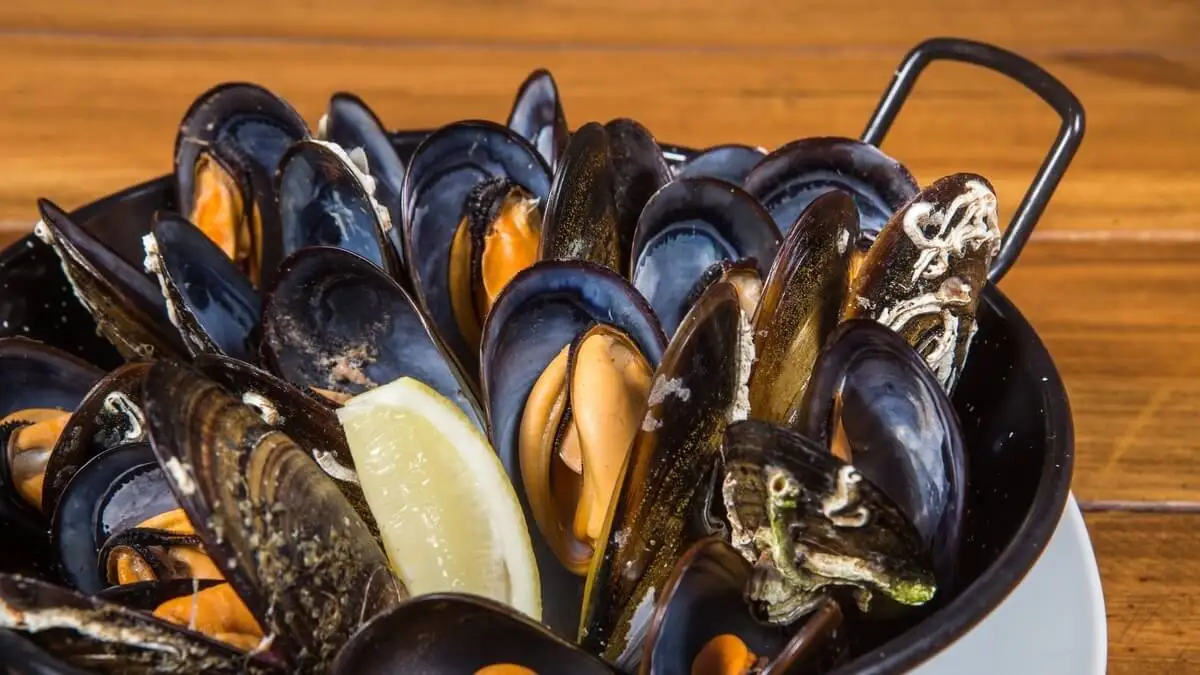 Mejillones.