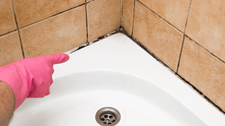 Cómo quitar el moho de la ducha con productos caseros