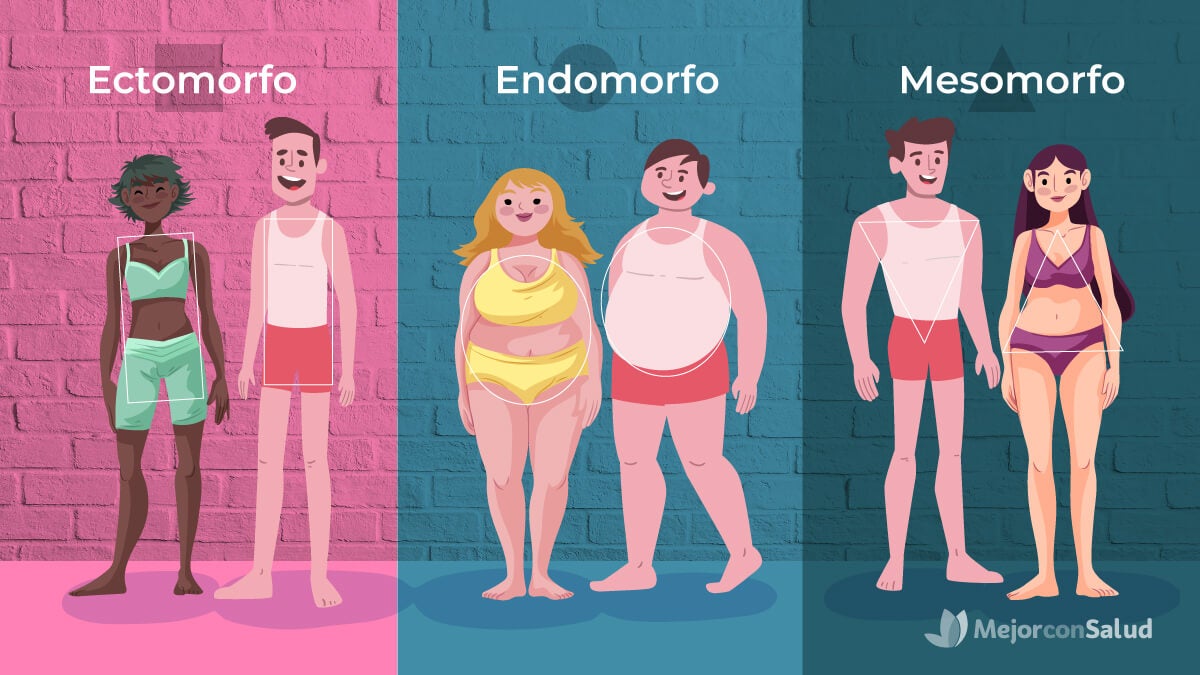 Tipos de cuerpo: ectomorfo, mesomorfo, endomorfo.