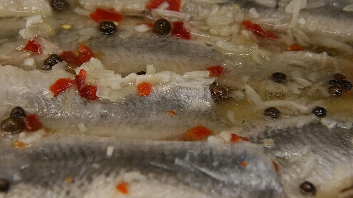Marinado de arenque.