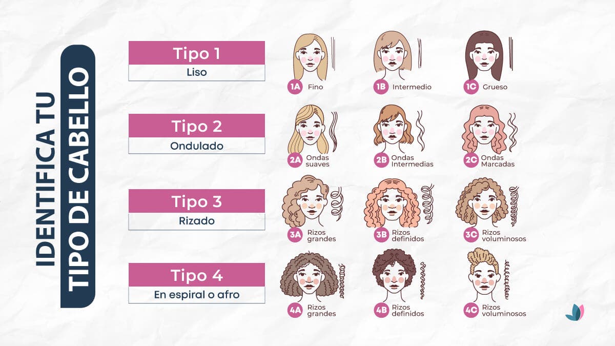 Infografía sobre cómo identificar tu tipo de cabello.