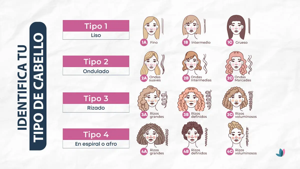 Infografía sobre cómo identificar tu tipo de cabello.