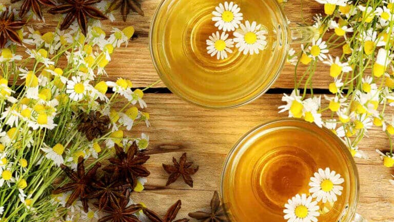 Los grandes beneficios de tomar infusión de anís con manzanilla