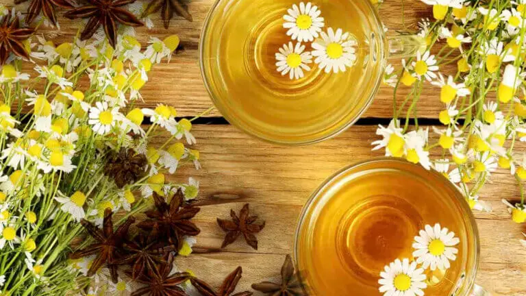 Los grandes beneficios de tomar infusión de anís con manzanilla