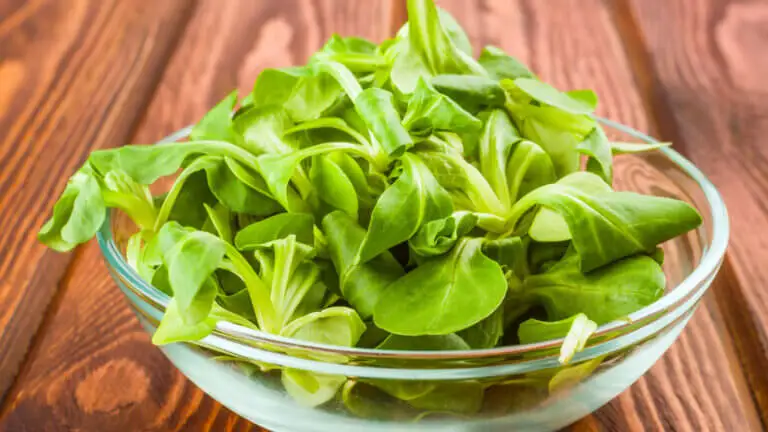 Canónigos: beneficios, valor nutricional y usos en la cocina
