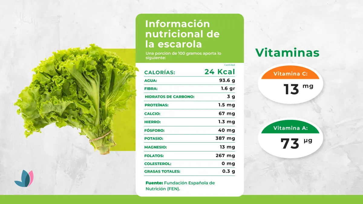 Información nutricional de la escarola.