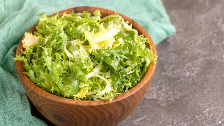 Escarola: propiedades, beneficios, recetas y usos de esta verdura de hojas verdes