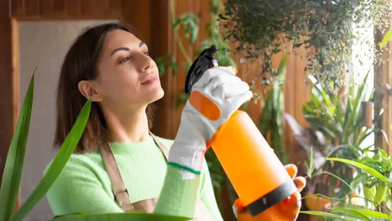 Insecticidas caseros: recetas y cómo aplicarlos correctamente