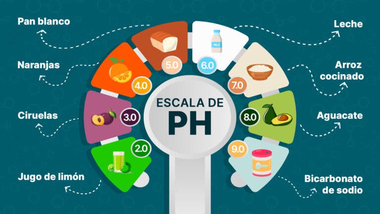 Conoce los alimentos ácidos y las consideraciones para su consumo