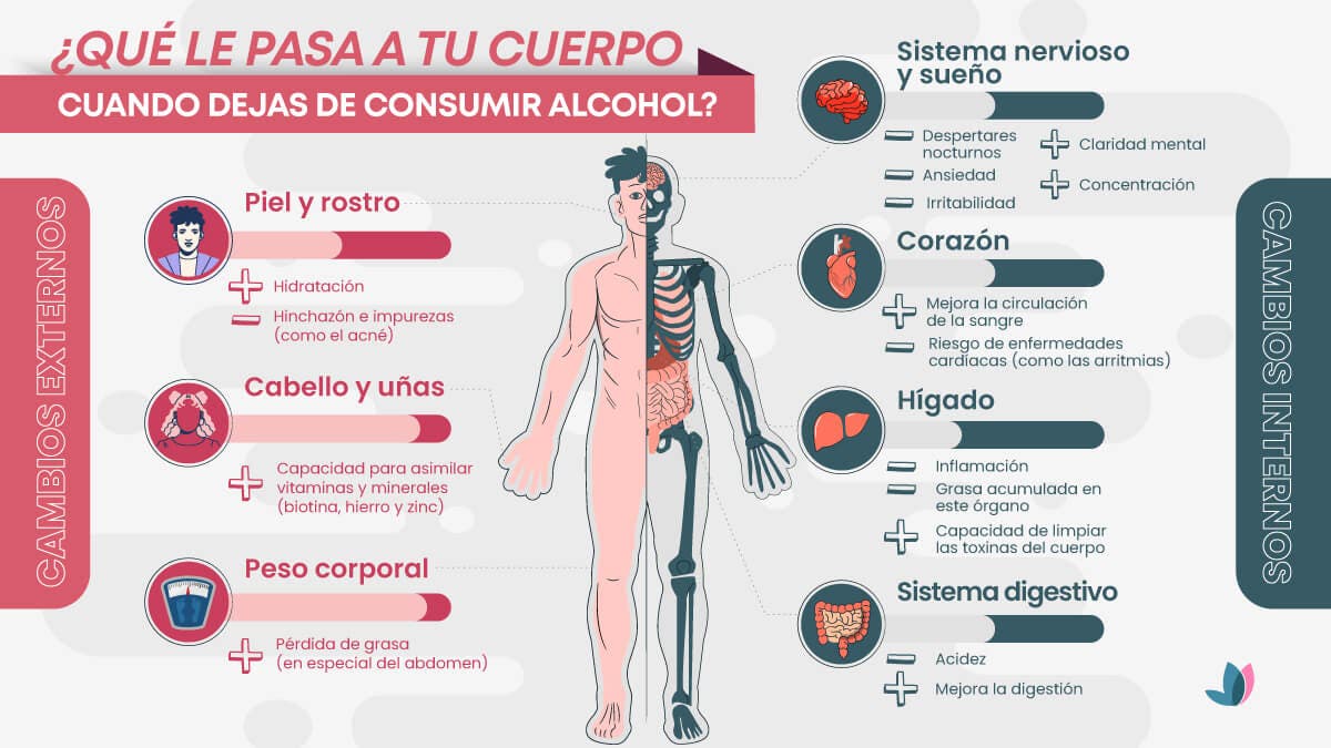 ¿Qué le pasa a tu cuerpo cuando dejas el alcohol?