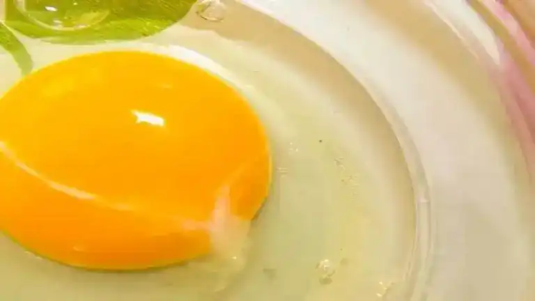 ¿Qué es el hilo blanco en la yema del huevo, se puede comer?
