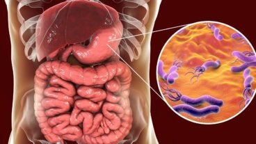 Expertos identifican bacteria relacionada con el cáncer gástrico: «causa el 76 % de los casos»