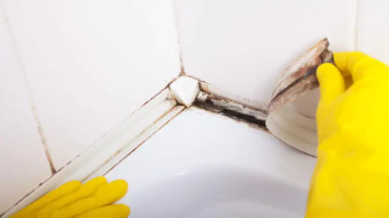 Aprende a eliminar el moho negro de la silicona de la ducha y a evitar que vuelva