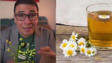 El Dr. William Arias revela: "la manzanilla es un aliado para reducir el estrés y aumentar la hormona del sueño"