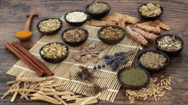 El poder de los adaptógenos, cómo ayudan a combatir el estrés de manera natural