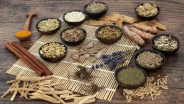 El poder de los adaptógenos, cómo ayudan a combatir el estrés de manera natural