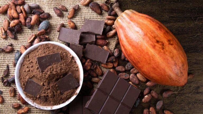 Día Internacional del Chocolate: por qué se celebra y cómo aprovechar sus beneficios para la salud