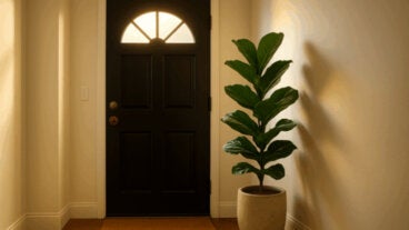 Feng shui en casa: 5 cambios de decoración que atraen dinero y prosperidad