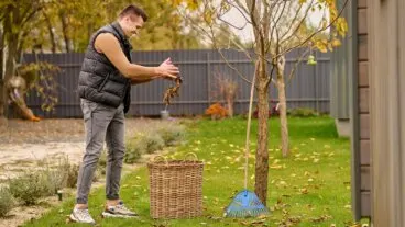 Guía práctica para preparar tu jardín en otoño y protegerlo del invierno