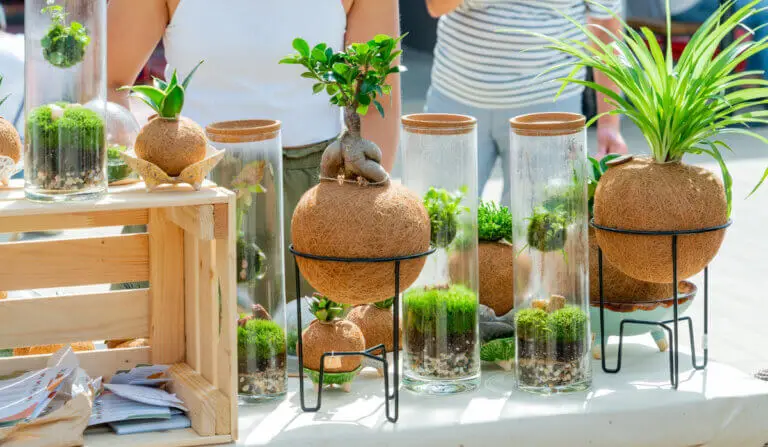 Aprende a hacer una kokedama y descubre los cuidados clave para que dure más
