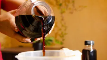 El abono líquido casero más efectivo para tener plantas verdes y resistentes