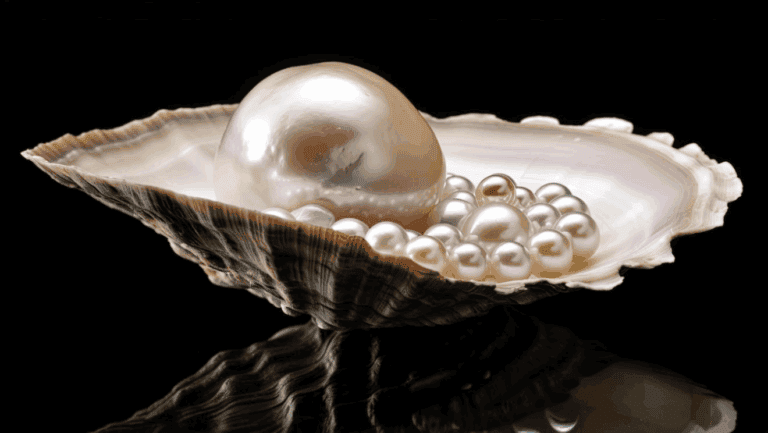 Haz tu propia crema de concha nácar y dile adiós a las manchas oscuras