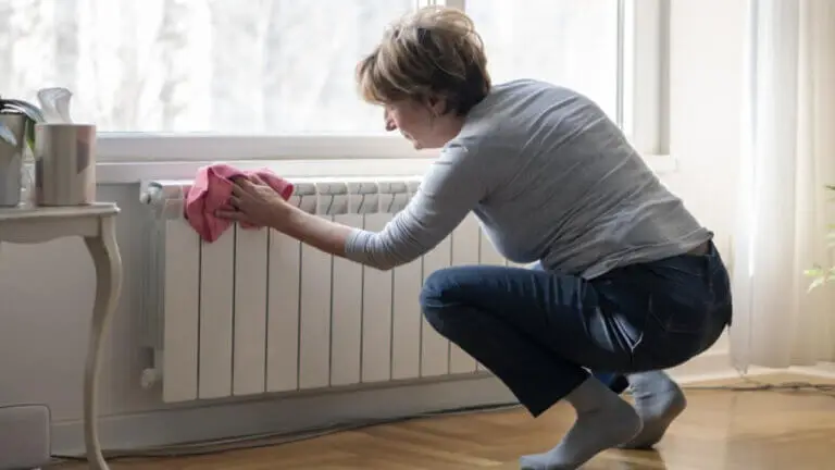 Cómo limpiar el radiador y eliminar la suciedad escondida en minutos